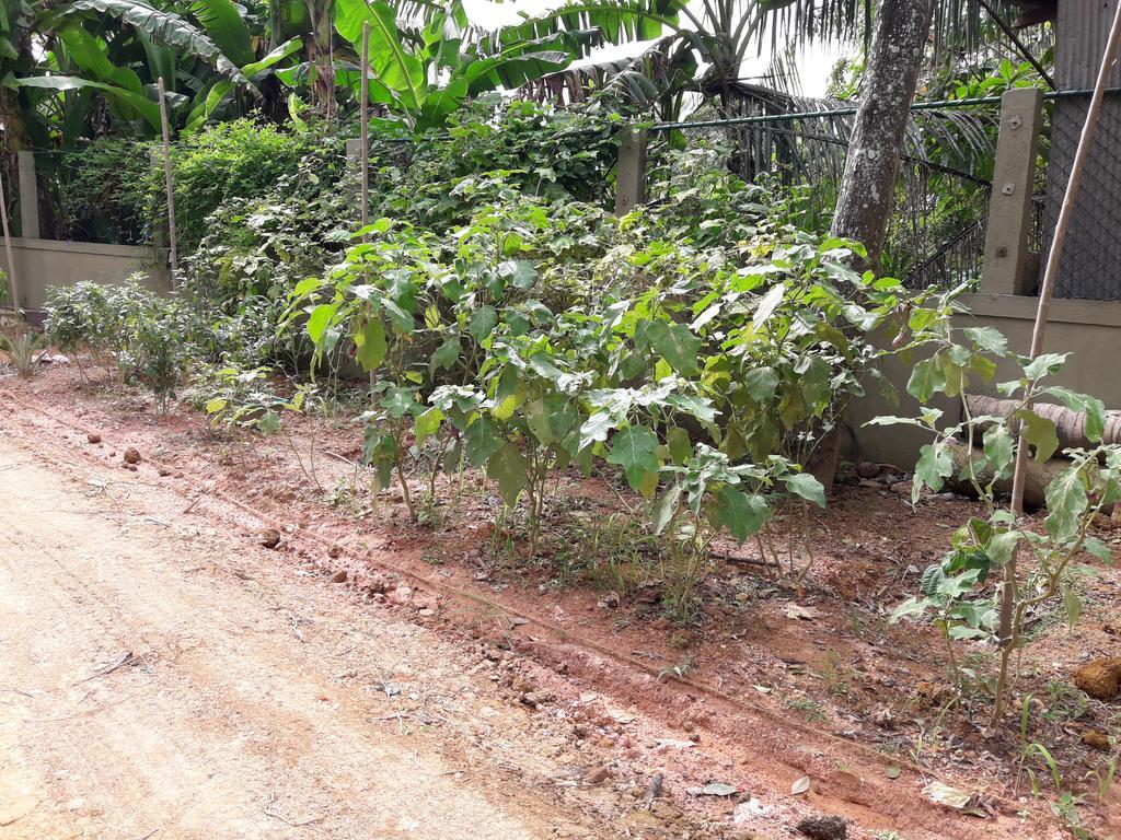Arana Bungalow Galle Bagian luar foto